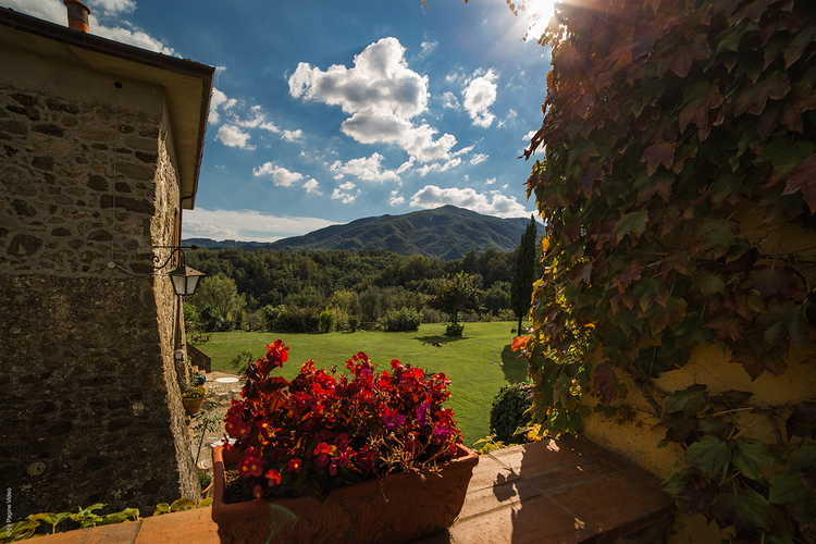 Agriturismo Ca' del Bosco  An inviting Terrace for everyone
