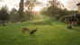 Agriturismo Ca' del Bosco Friendly and tranquil atmosphere 