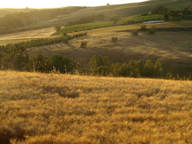 agriturismo-casa-baccano-sarteano_15