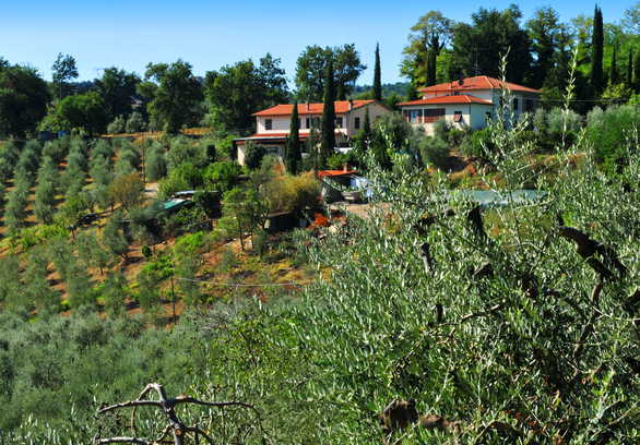 Agriturismo Cesani