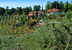 Agriturismo Cesani - Fattoria e Panorama