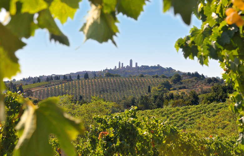 Panorama dall' Agriturismo Cesani