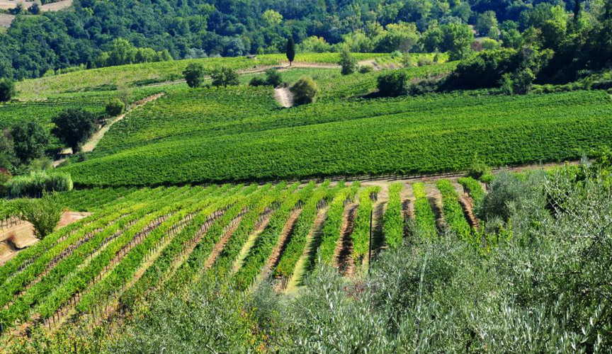 Cesaniigne intorno all'Agriturismo Cesani