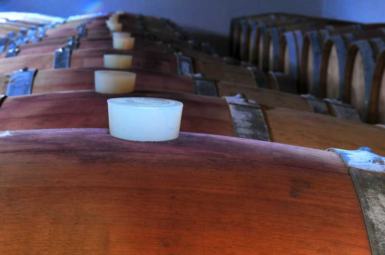 Cantine Cesani