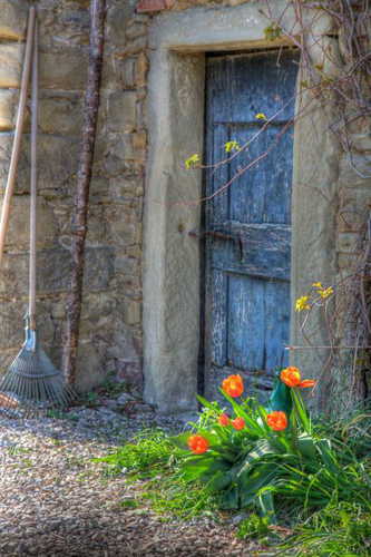 Agriturismo Novole: sinonimo dell'autentica genuinitÃ  di Toscana