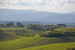 Filari di vigneti caratterizzano il paesaggio tipico di Toscana