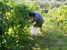 Ask about the wine production at Agriturismo Casa Italia