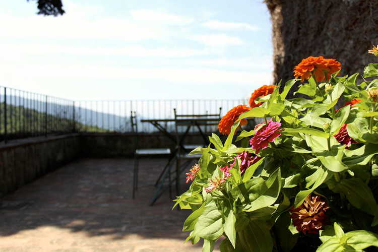 A perfect place where to dine or enjoy the peace of the countryside