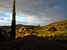 A lovely view of the countryside