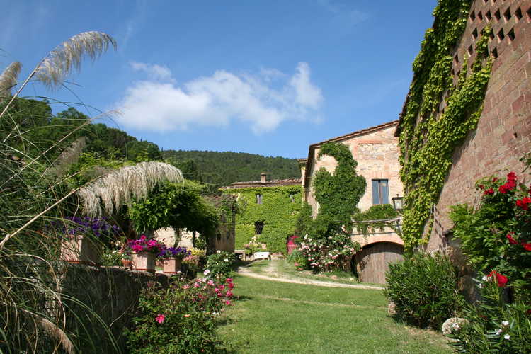 Agriturismo il Colombaio di Barbara - Summer Garden