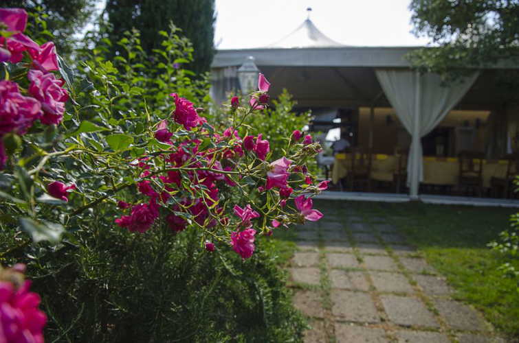 Il Melograno: trionfo di colori, profumi e sapori della costa toscana