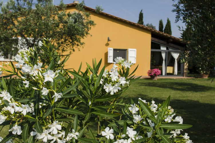 Il giardino dove troverete in abbondanza piante e fiori colorati