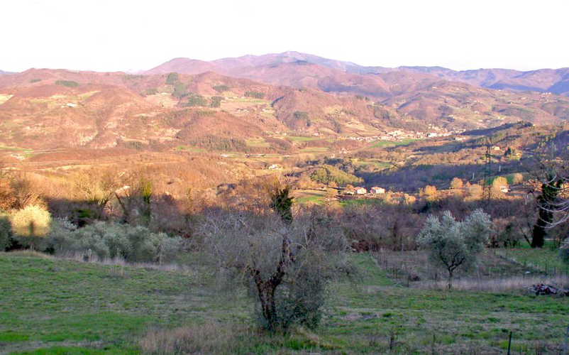 agriturismo-il-mugello-vicchio_11