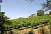 Holiday Home Arezzo Tuscany Incrociata