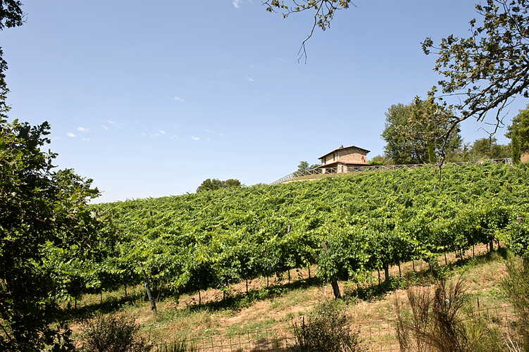 Holiday Home Arezzo Tuscany Incrociata