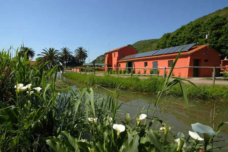 Ideal position in natural reserve yet close to Pisa, Lucca & the beach