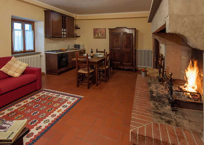 Agriturismo La Collina Delle Stelle - appartamento dotato di tipico caminetto toscano in pietra