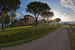 Agriturismo La Collina Delle Stelle - immerso nel meraviglioso paesaggio rurale toscano