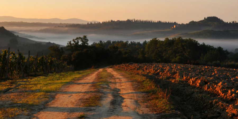 Paesaggio  Lucciolaia Agriturismo