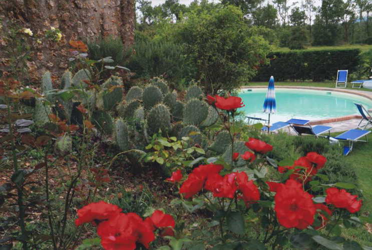 Vista della piscina con i fiori che ornano il giardino