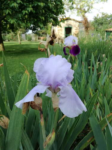 Agriturismo La Tinaia - Sulla strada per Firenze