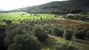 Agriturismo La Valentina nel Parco della Maremma