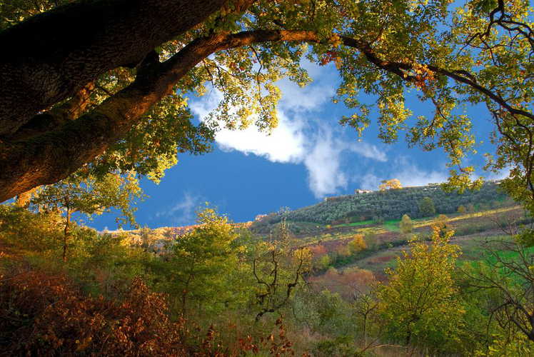 agriturismo-le-caggiole-montepulciano_14