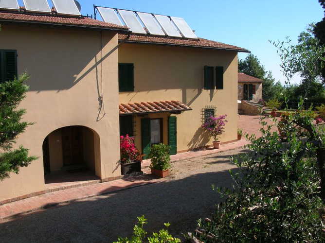 Weekly visits to the wine cellar & olive oil production at Le Pianore