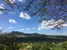 Agriturismo Le Selvole - ask about the possibility to go horseback riding