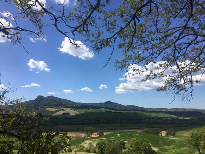 Agriturismo Le Selvole - ask about the possibility to go horseback riding