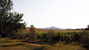 A genuine family run farm where you can partecipate in the fun