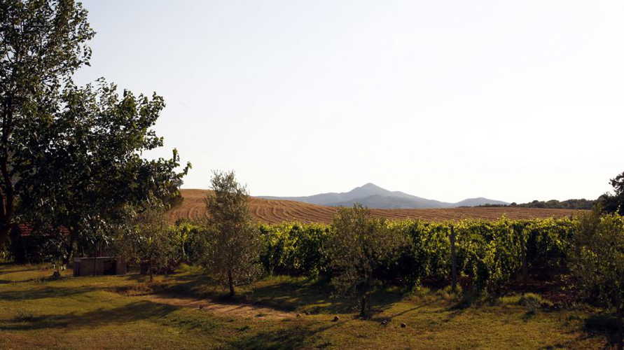 A genuine family run farm where you can partecipate in the fun