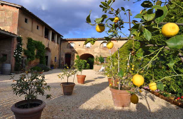 Agriturismo Marciano