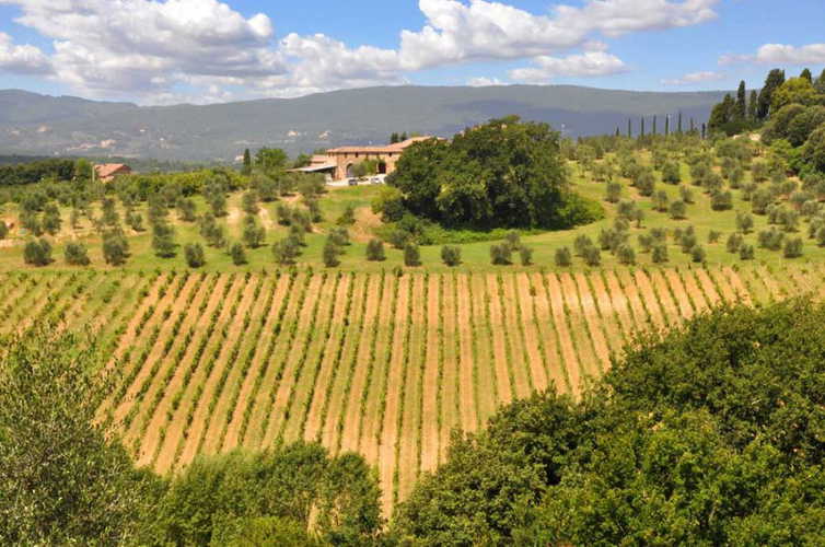 Only a 2 km walk from Agriturismo Marciano to Siena