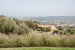  Agriturismo Montefreddo - panoramic view over valley