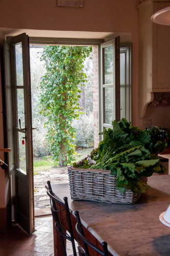 A true family run farm, Montefreddo has been in the family for years