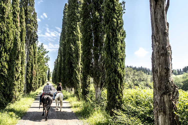Agriturismo Pieve Sprenna Vicino Siena Toscana