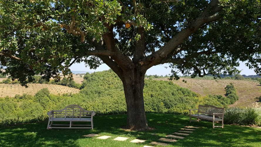 poggio-mirabile-manciano_13