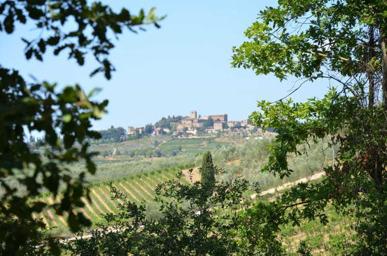Veduta Panoramica Agriturismo San Clemente Chianti