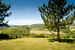 Tenuta Bossi is an oasis of Tuscan beauty