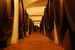 The family's wine cellar is an enticing treat, tour and taste!