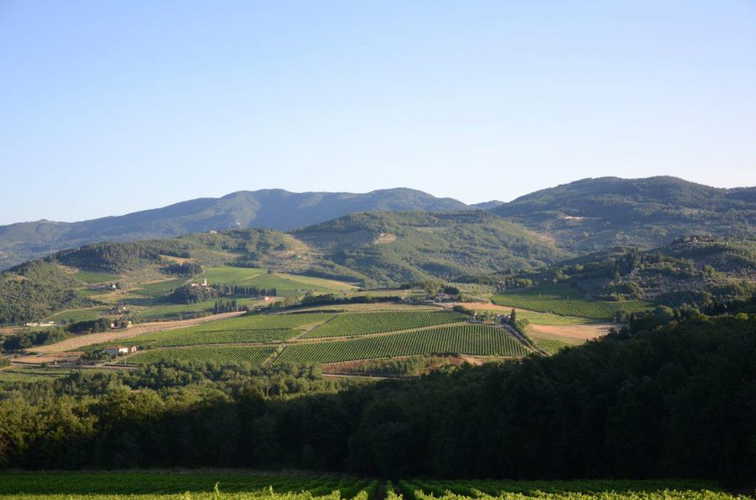 Beautiful views from every corner of Tenuta Bossi
