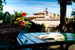 Surrounded by silence, vineyards and olive groves at Tenuta Bossi