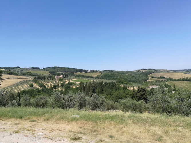 Agriturismo Vicolabate: Family run olive grove - test their goodness