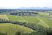 Agriturismo Vicolabate: tanquility assured in the countryside