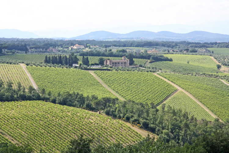 Agriturismo Vicolabate: tanquility assured in the countryside