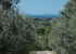 agriturismo-villa-il-palazzino-bibbona_13