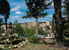 agriturismo-villa-il-palazzino-bibbona_12