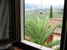 agriturismo-villa-vacanze-manetti-montespertoli_11