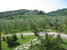 View from the Farmhouse Villani Near Florence